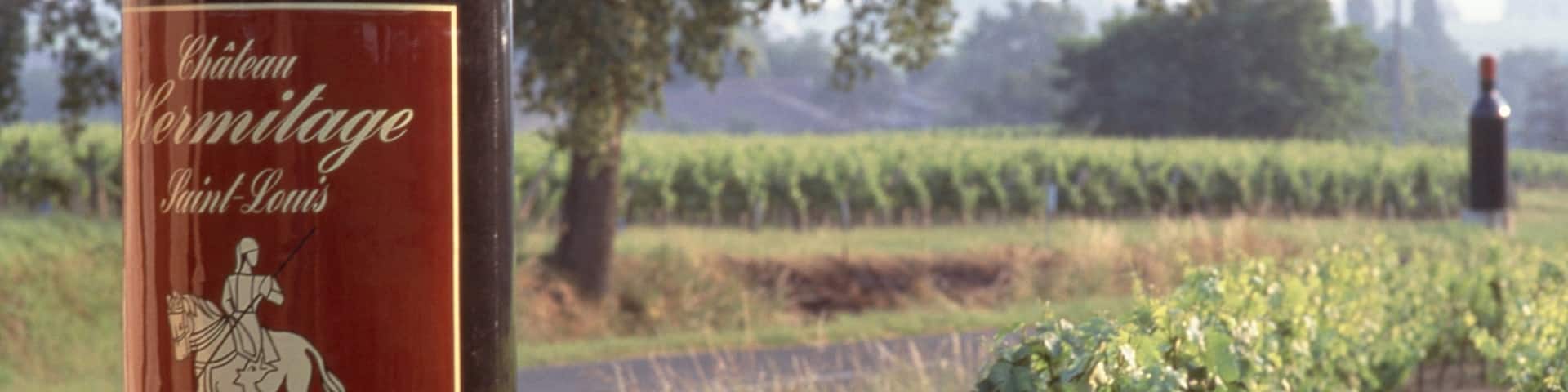 Saint-Emilion which includes drinks or beverages and landscape views