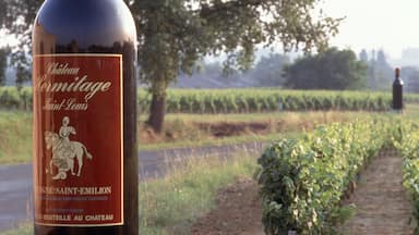 Saint-Émilion toont landschappen en drankjes