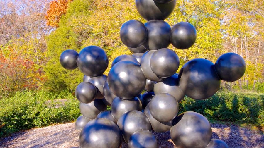 Laumeier Sculpture Park showing autumn leaves, a park and outdoor art