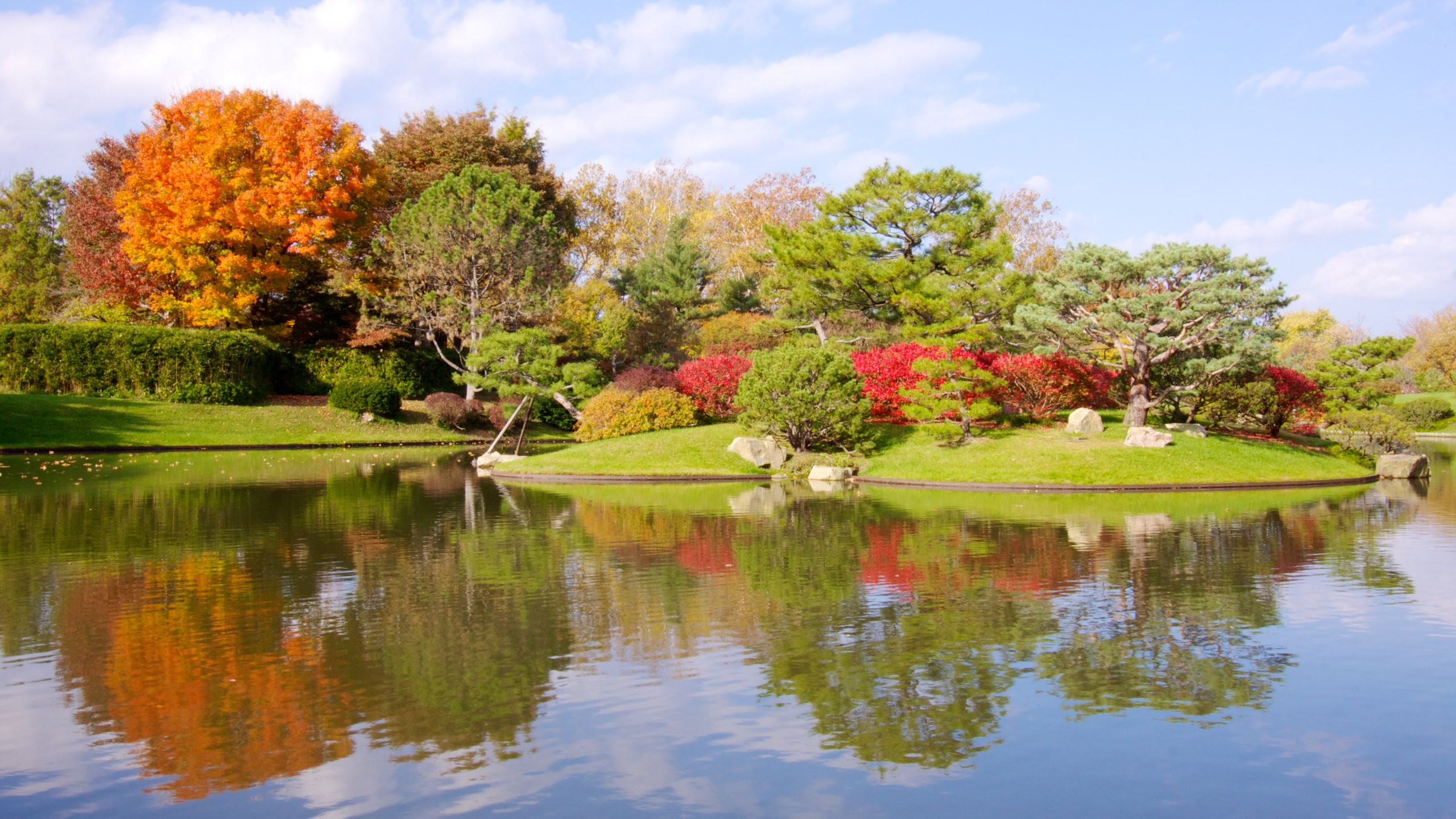 Missouri Botanical Garden Parking