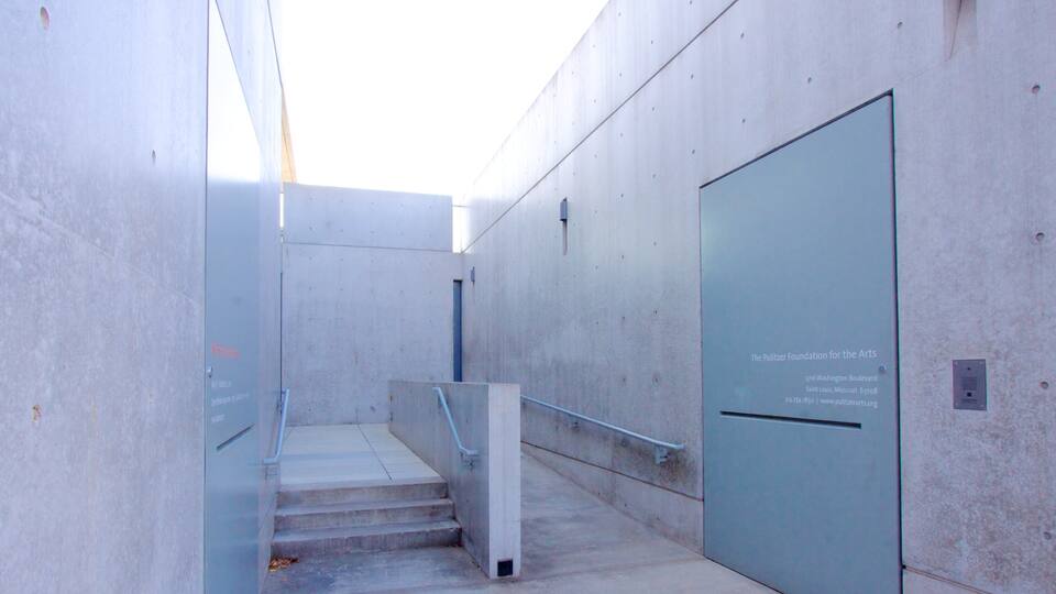 Pulitzer Foundation for the Arts which includes art