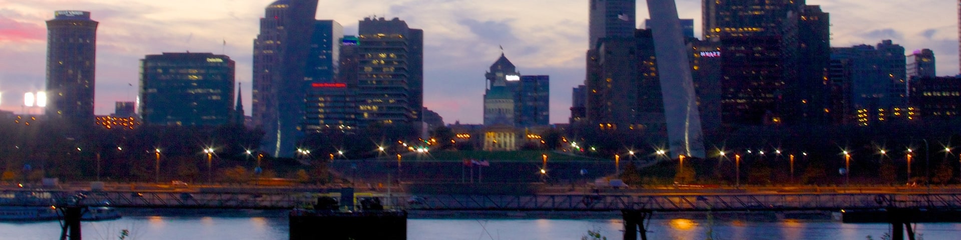 Gateway Arch showing a city, a skyscraper and skyline