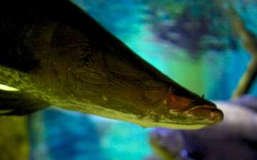 visit loveland living planet aquarium