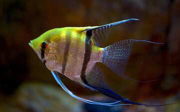 visit loveland living planet aquarium