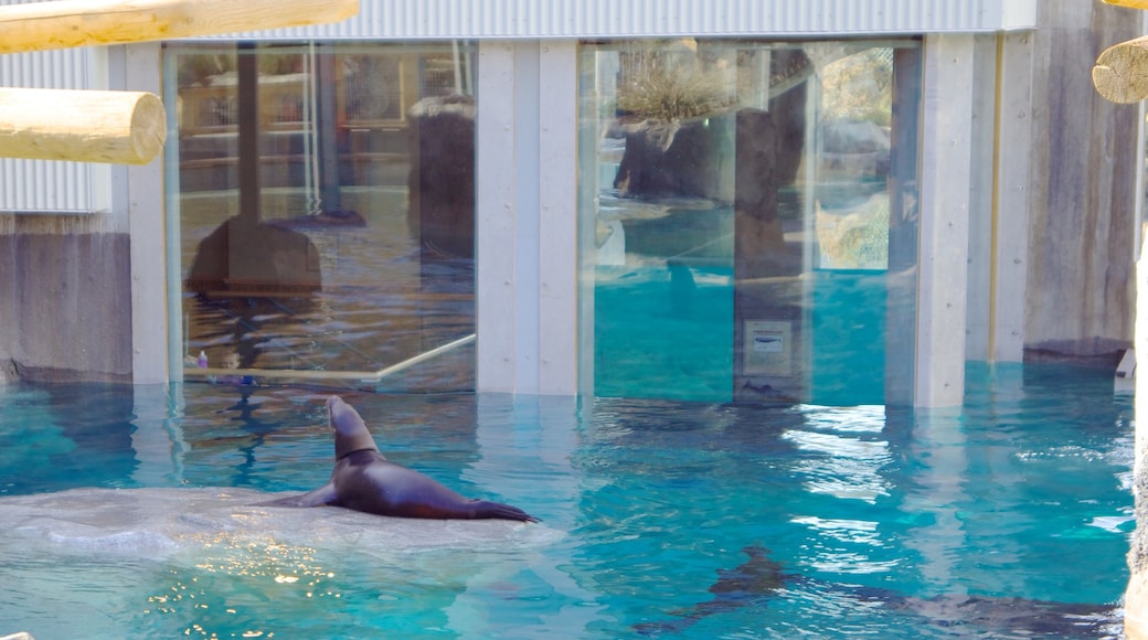 ホグル動物園 どの含み 海洋生物 と 動物園の動物