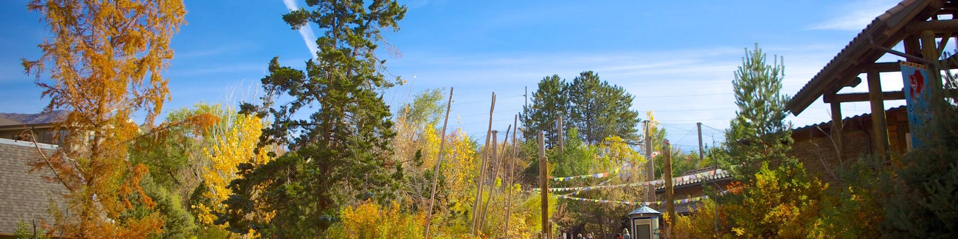 Hogle Zoo which includes fall colors