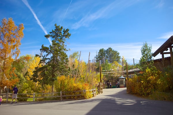 Hogle Zoo which includes autumn colours
