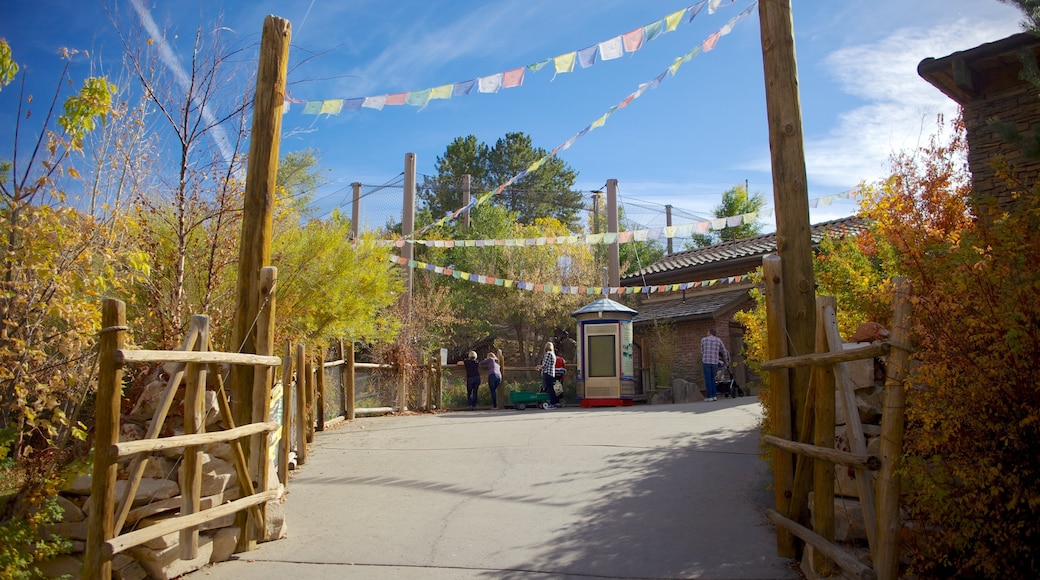 ホグル動物園 表示 静かな風景