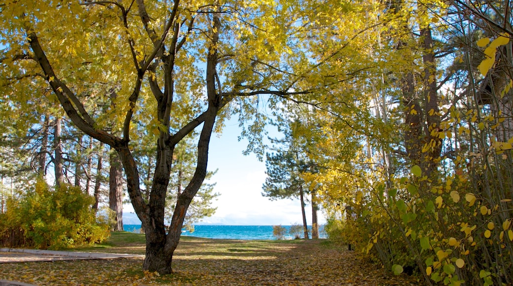 Kings Beach State Park featuring landscape views, forest scenes and general coastal views