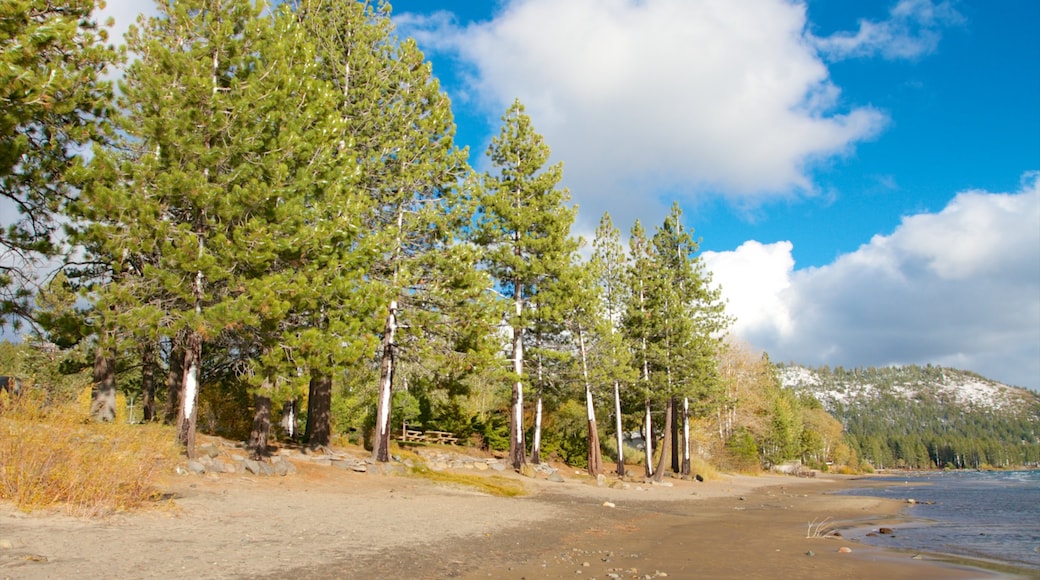 Kings Beach State Park which includes a sandy beach, landscape views and forest scenes