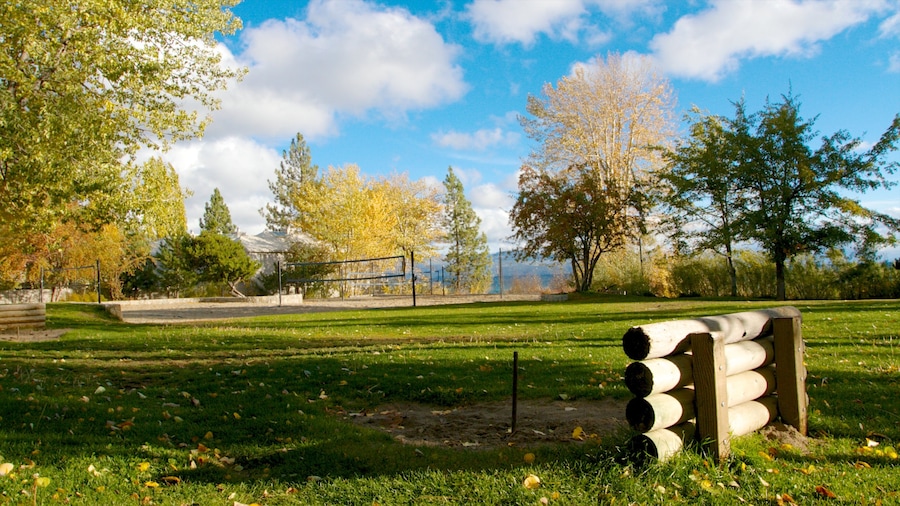 Kings Beach State Recreation Area showing landscape views and a park