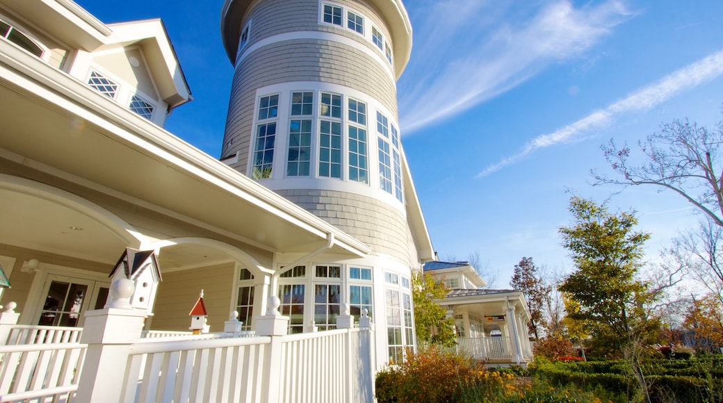 Magic House - St. Louis Children\'s Museum