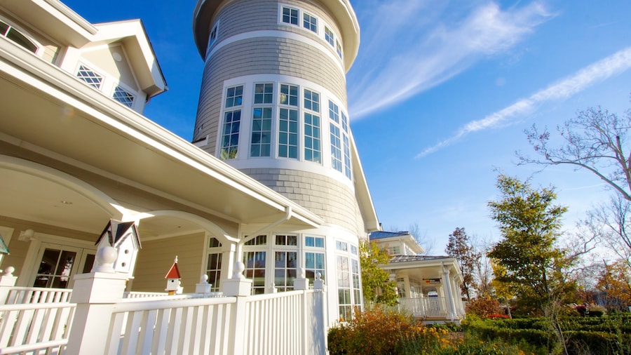 Magic House - St. Louis Children\'s Museum