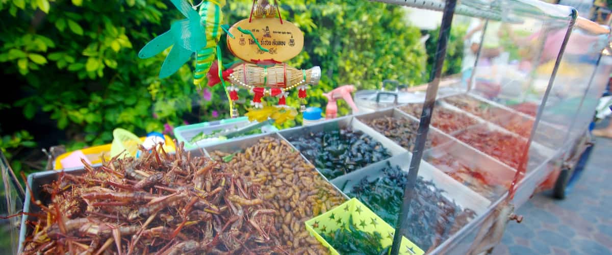 Walking Street which includes food