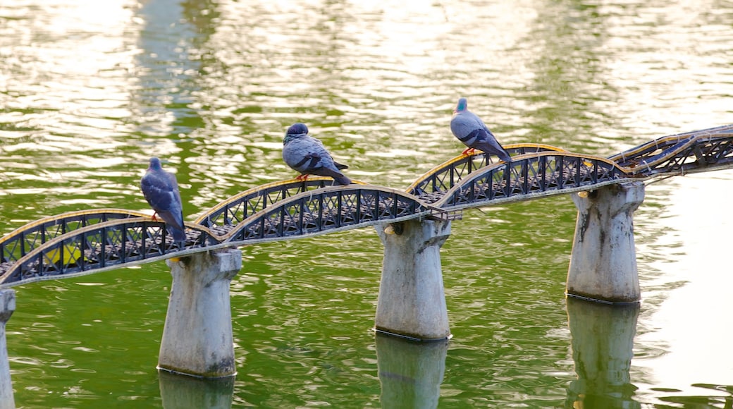 Mini Siam showing a lake or waterhole