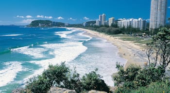 Plage de Burleigh mettant en vedette scènes tropicales, gratte-ciel et vues littorales