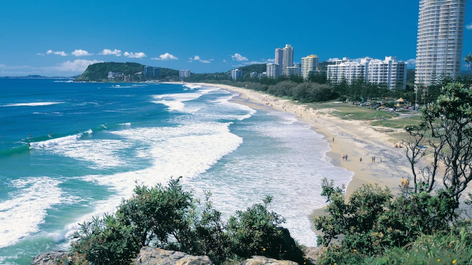 Burleigh Beach som visar tropisk natur, affärsdistrikt och en sandstrand