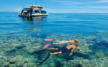 グレート バリア リーフ ウェンジェッティ エクスペディア グレート バリア リーフ ウェンジェッティ エクスペディア