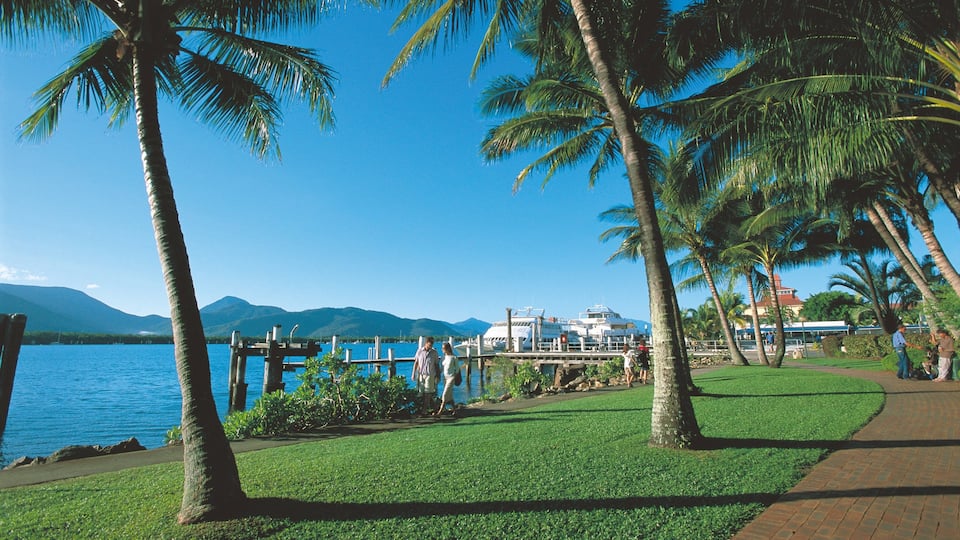 Cairns Esplanade ofreciendo escenas tropicales, vista general a la costa y un club náutico