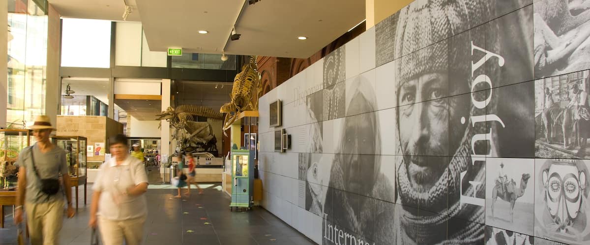 South Australian Museum featuring interior views and signage as well as a couple