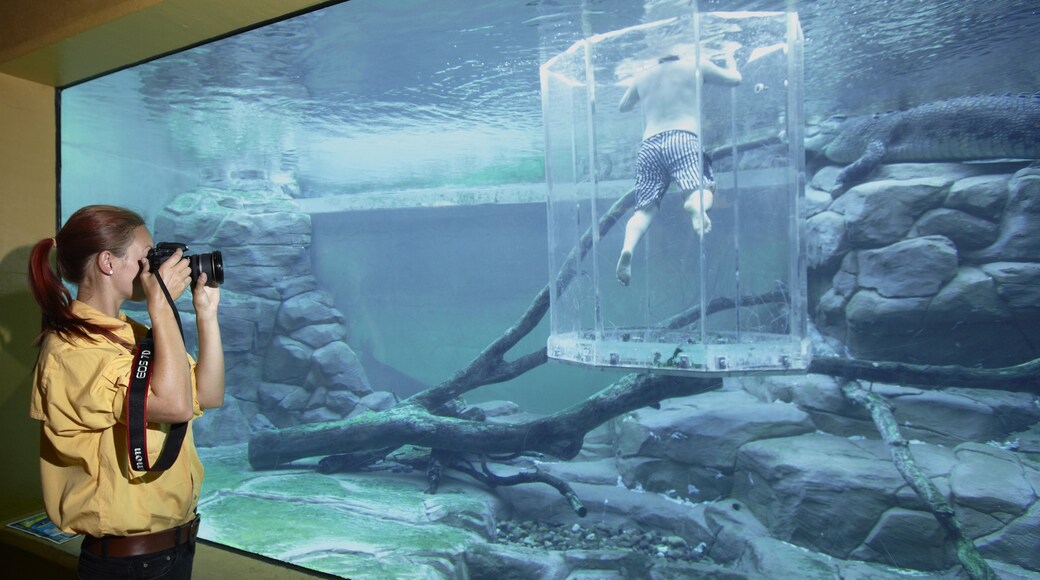 Photo fournie par Tourism NT