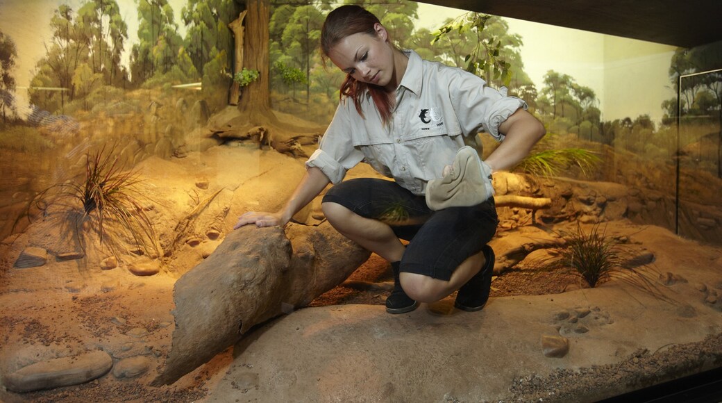 Photo fournie par Tourism NT