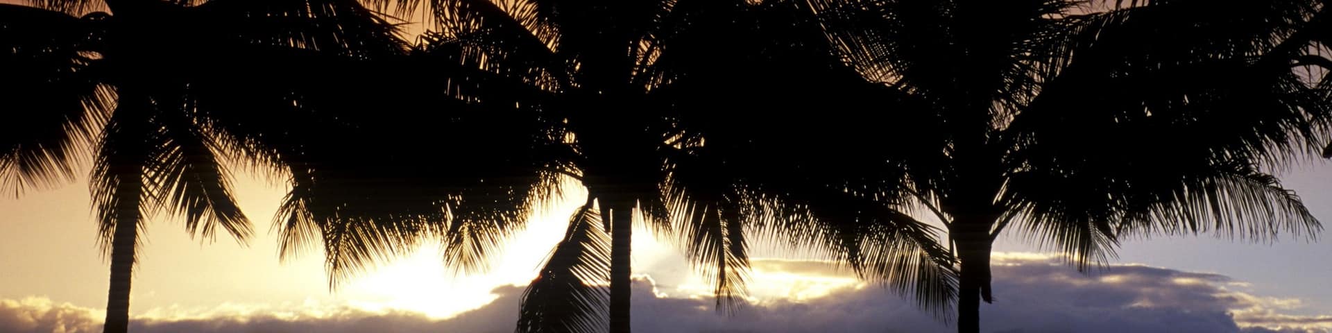 Port Douglas que incluye escenas tropicales, una puesta de sol y vistas generales de la costa