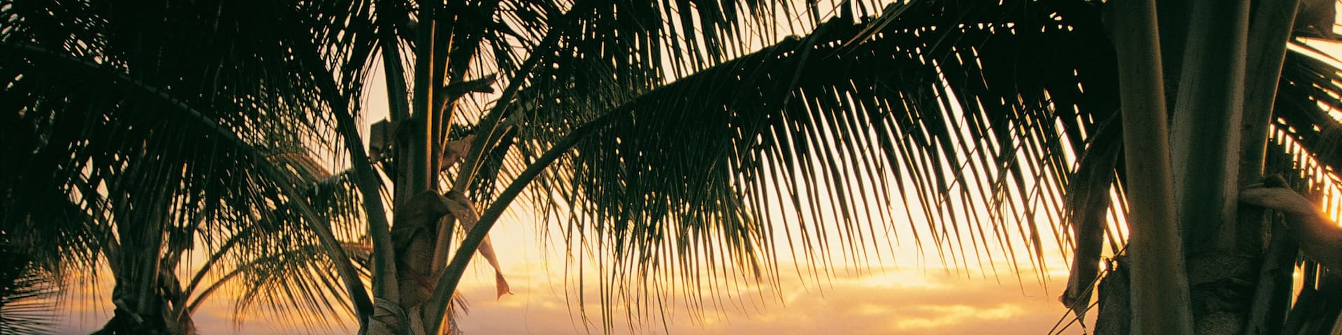 Port Douglas which includes tropical scenes, a sunset and boating