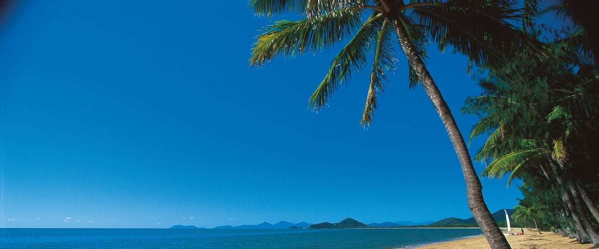 Palm Cove joka esittää maisemat, trooppiset näkymät ja ranta