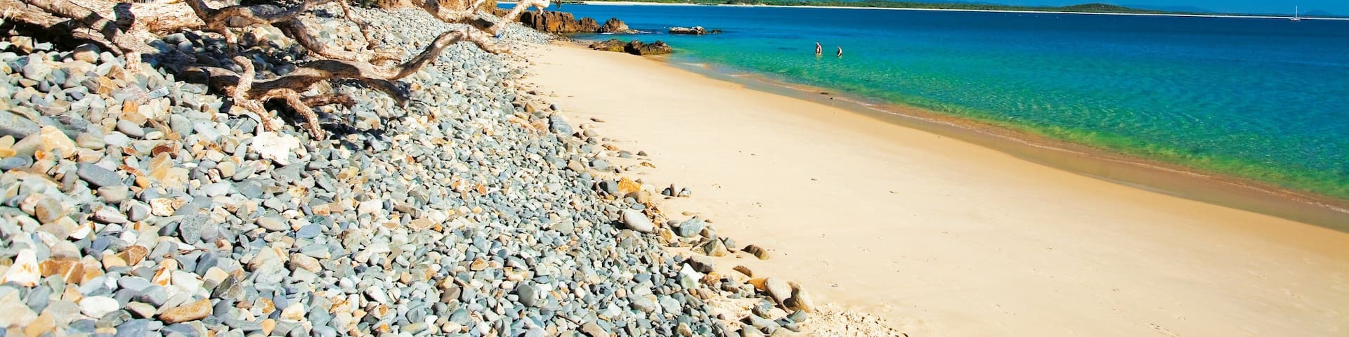 Noosa Heads which includes tropical scenes and a sandy beach