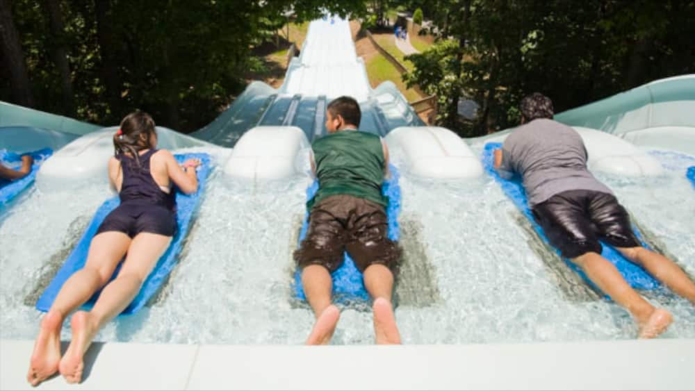 Six Flags White Water which includes a water park and rides as well as a small group of people