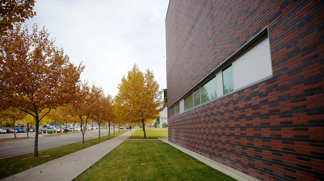 Museum voor Schone Kunsten van Utah inclusief moderne architectuur en herfstbladeren