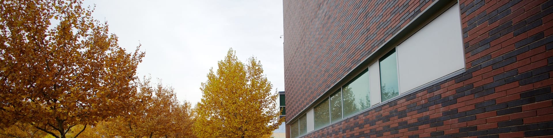 Utah Museum of Fine Art which includes modern architecture and autumn leaves