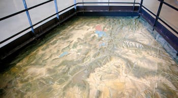 Utah Museum of Natural History showing interior views
