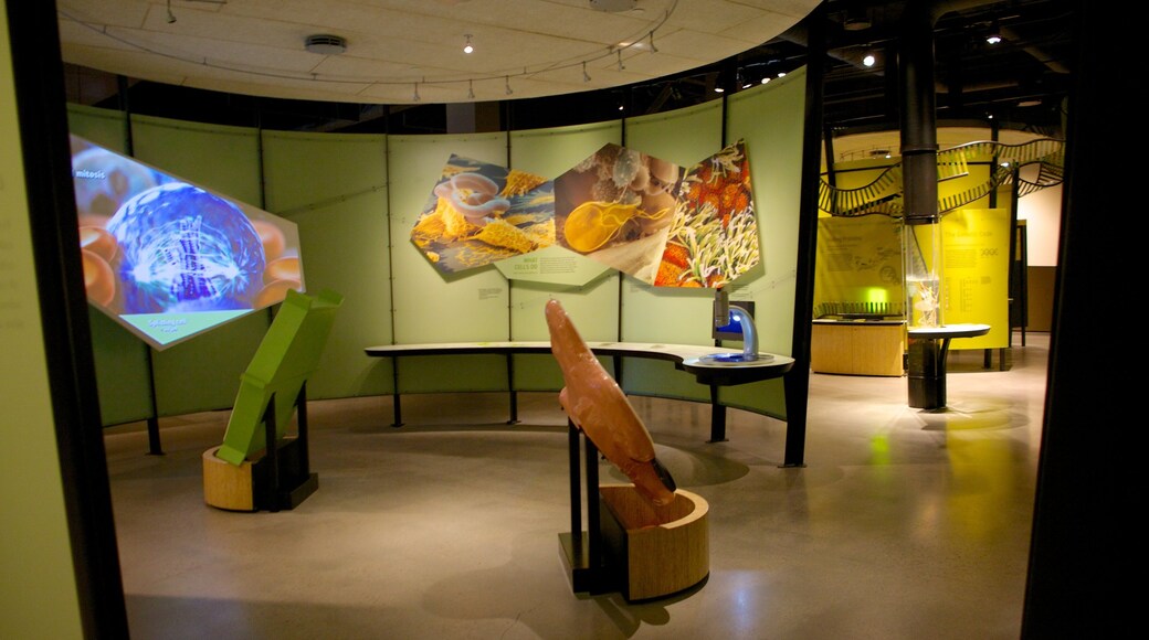 Utah Museum of Natural History som inkluderar interiörer
