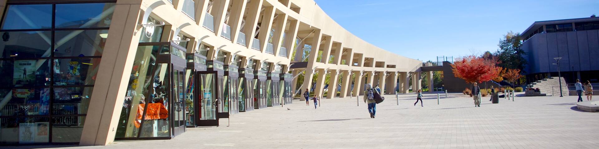 Salt Lake Public Library Main Building mostrando arquitectura moderna y una ciudad
