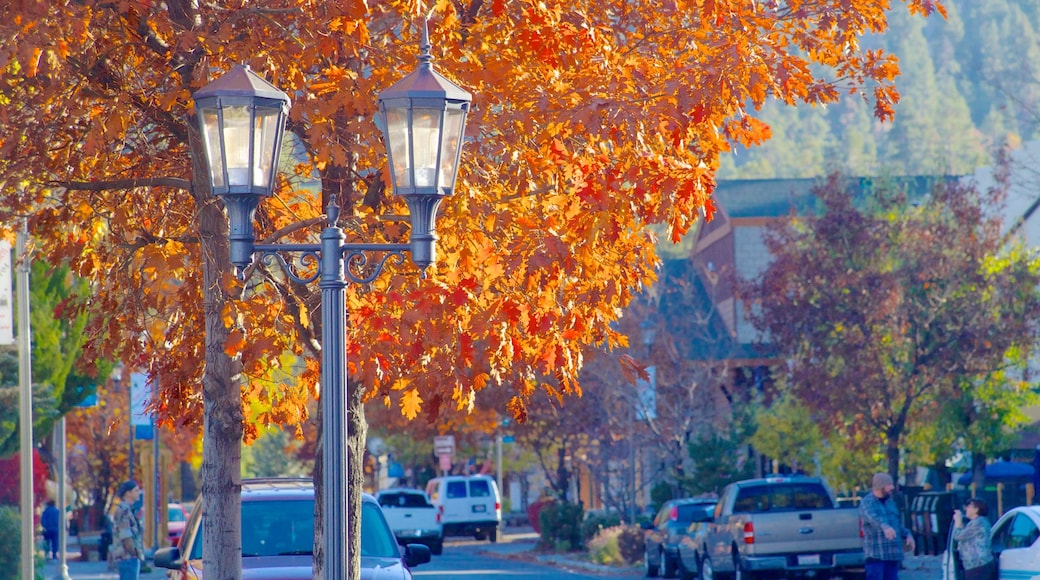 Big Bear Lake mostrando foglie d\'autunno e strade