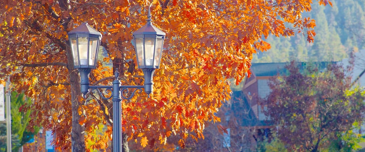 Big Bear Lake das einen Straßenszenen und Herbstfarben