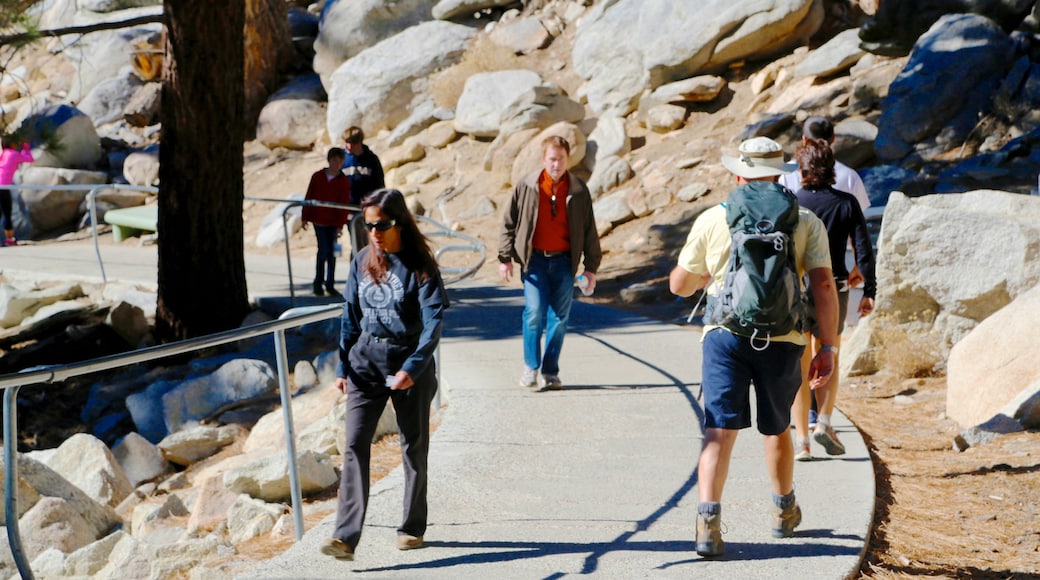 Palm Springs Aerial Tramway fasiliteter samt vandring eller fottur i tillegg til en liten gruppe med mennesker