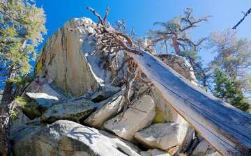 Visit Palm Springs Aerial Tramway in Palm Springs | Expedia