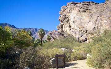 コーチェラ バレー観光ガイド 定番人気スポットを参考に自分にピッタリの観光プランを立てよう エクスペディア