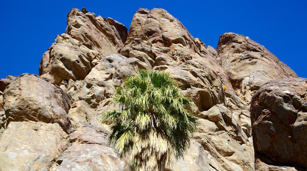 Indian Canyon showing a gorge or canyon and landscape views