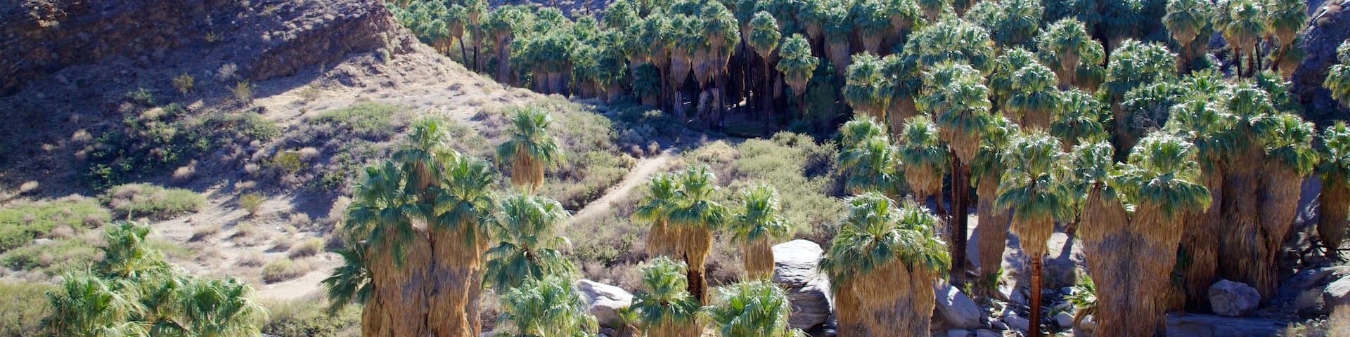 Indian Canyon which includes a gorge or canyon and landscape views