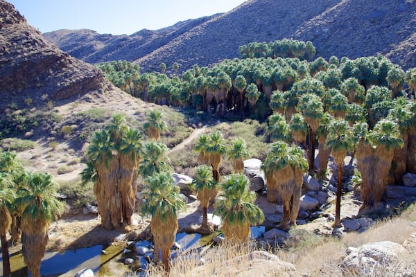 Indian Canyon mit einem Schlucht oder Canyon und Landschaften