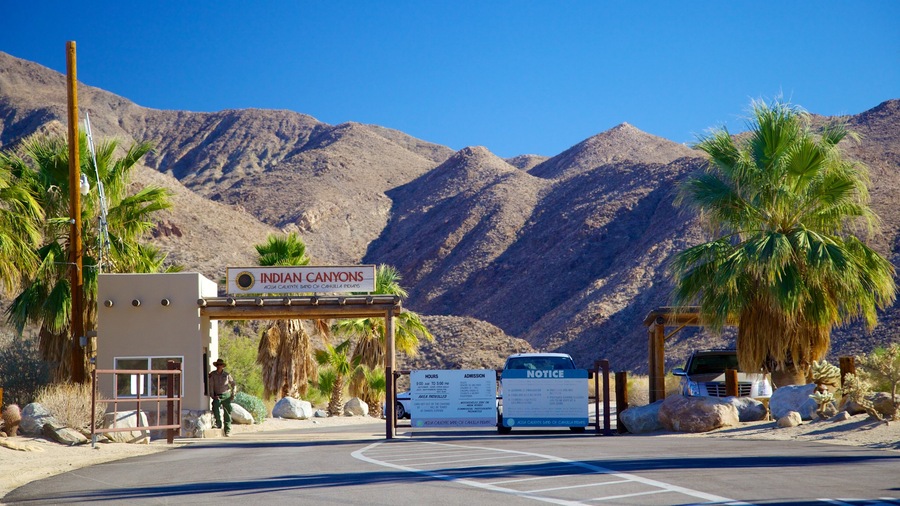 Indian Canyon featuring landscape views