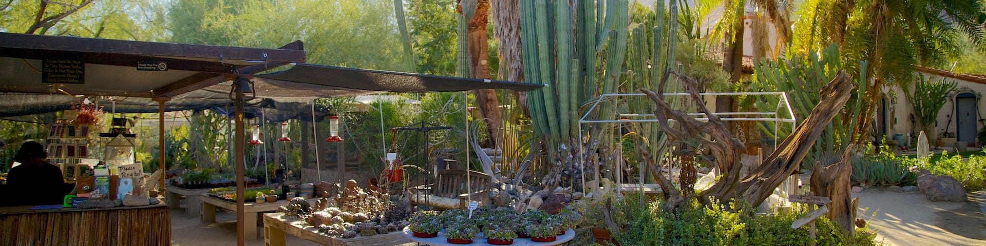 Moorten Botanical Garden and Cactarium johon kuuluu puisto