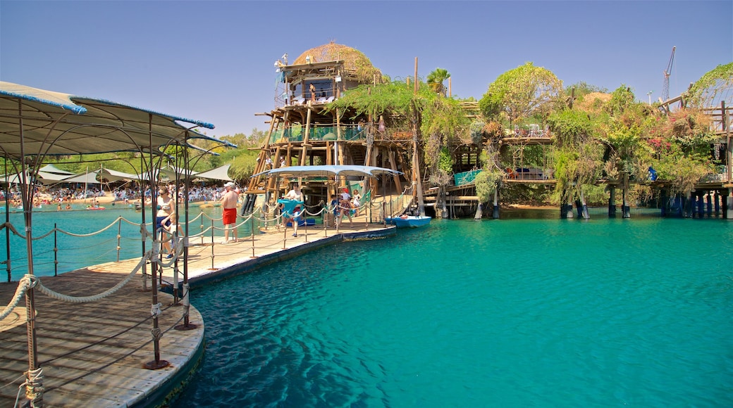 Dolphin Reef showing general coastal views as well as a small group of people