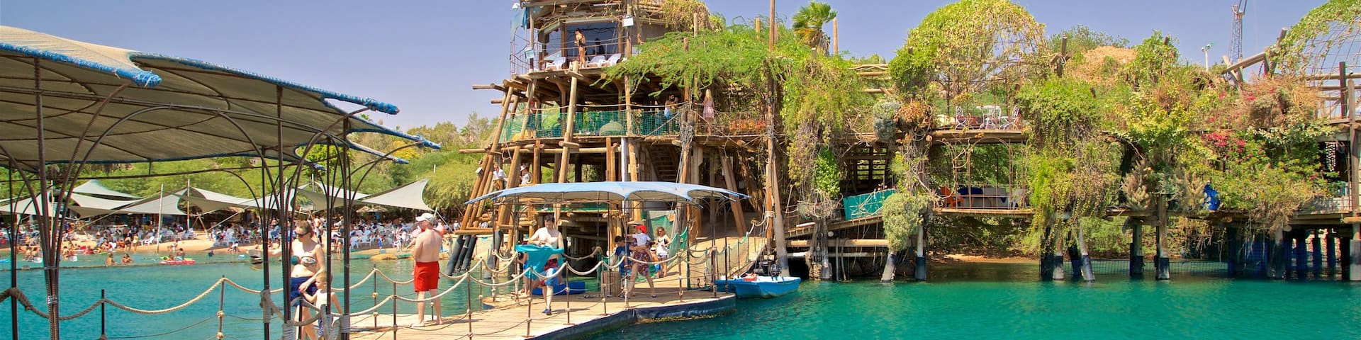Dolphin Reef showing general coastal views as well as a small group of people