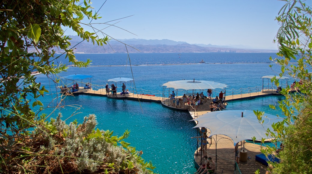 Dolphin Reef showing general coastal views as well as a small group of people