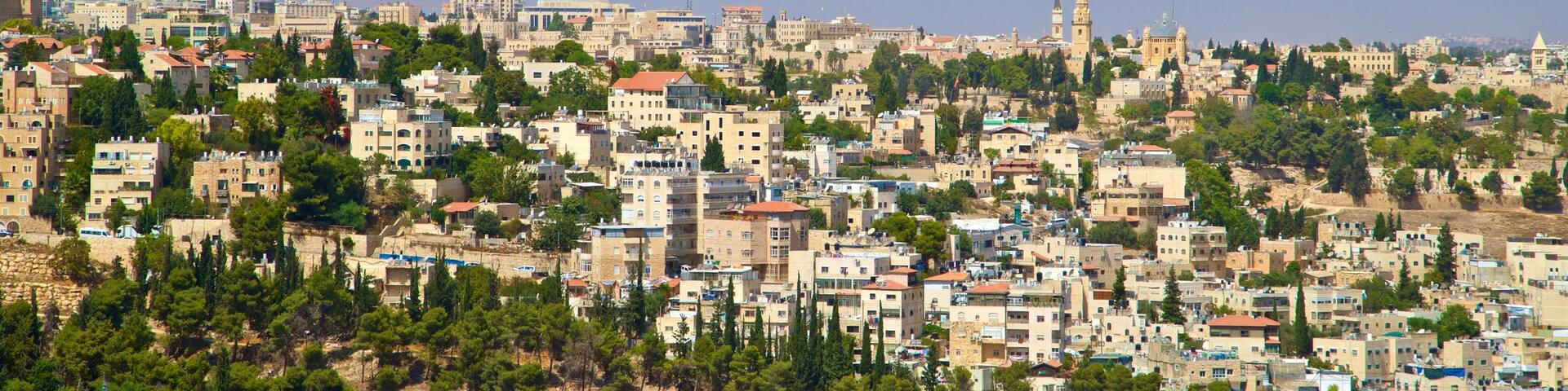 Haas Promenade which includes a city and landscape views
